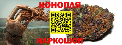 гидропоника Кохма