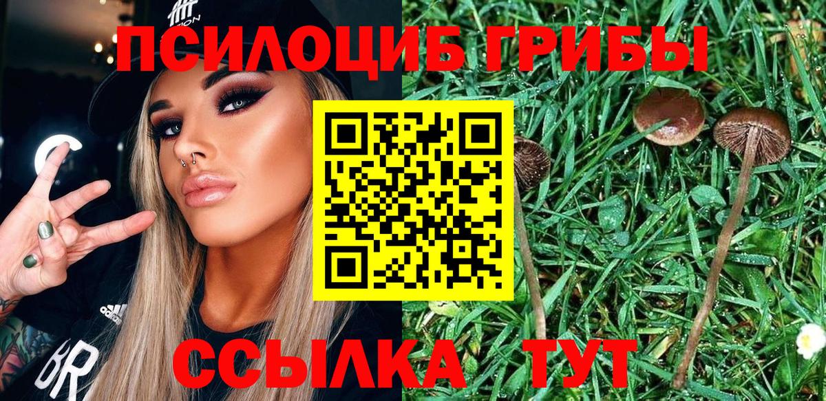Галлюциногенные грибы прущие грибы  Вход с VPN  Михайловка  Галлюциногенные грибы MAGIC MUSHROOMS 