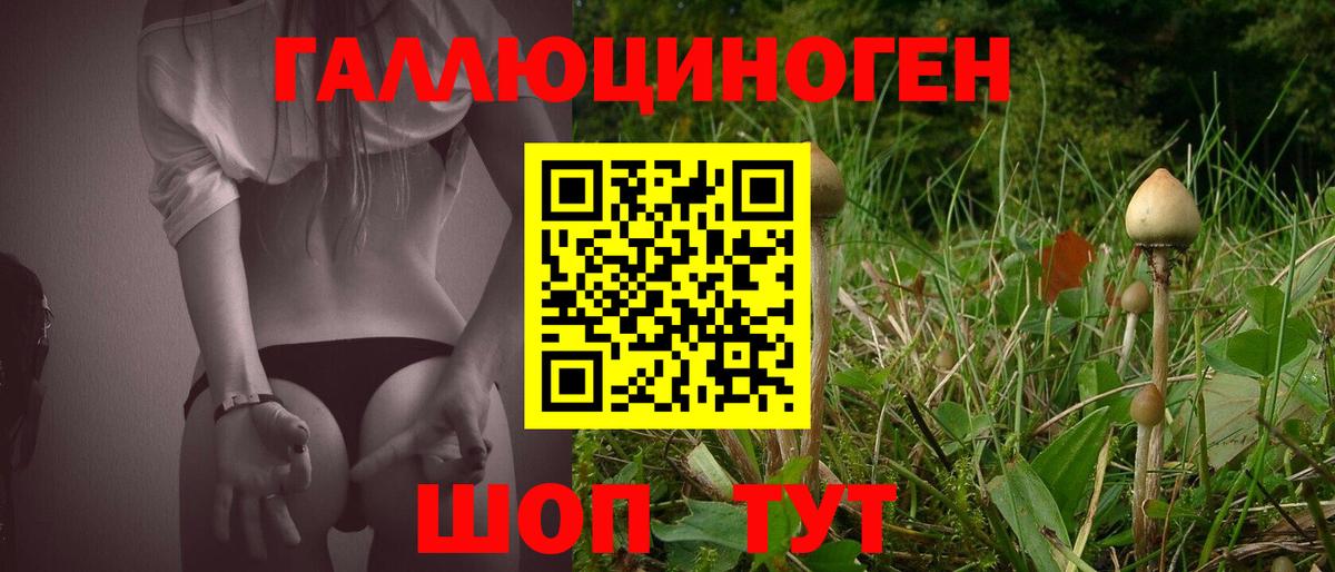 Псилоцибиновые грибы GOLDEN TEACHER Михайловка